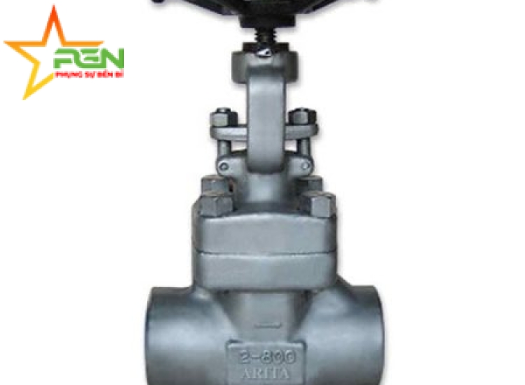  VAN CỔNG INOX Class 800 Forged SS Gate Valve Class 800