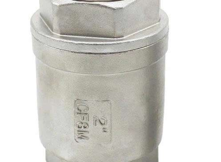 VAN 1 CHIỀU ĐỨNG LÒ XO INOX 316 ĐÚC, 2 MẢNH, REN BSPT